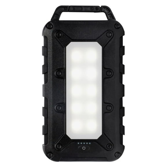Lion Energy Lion Cub Portable Power Bank with Built-In 50 Lumens Floodlight