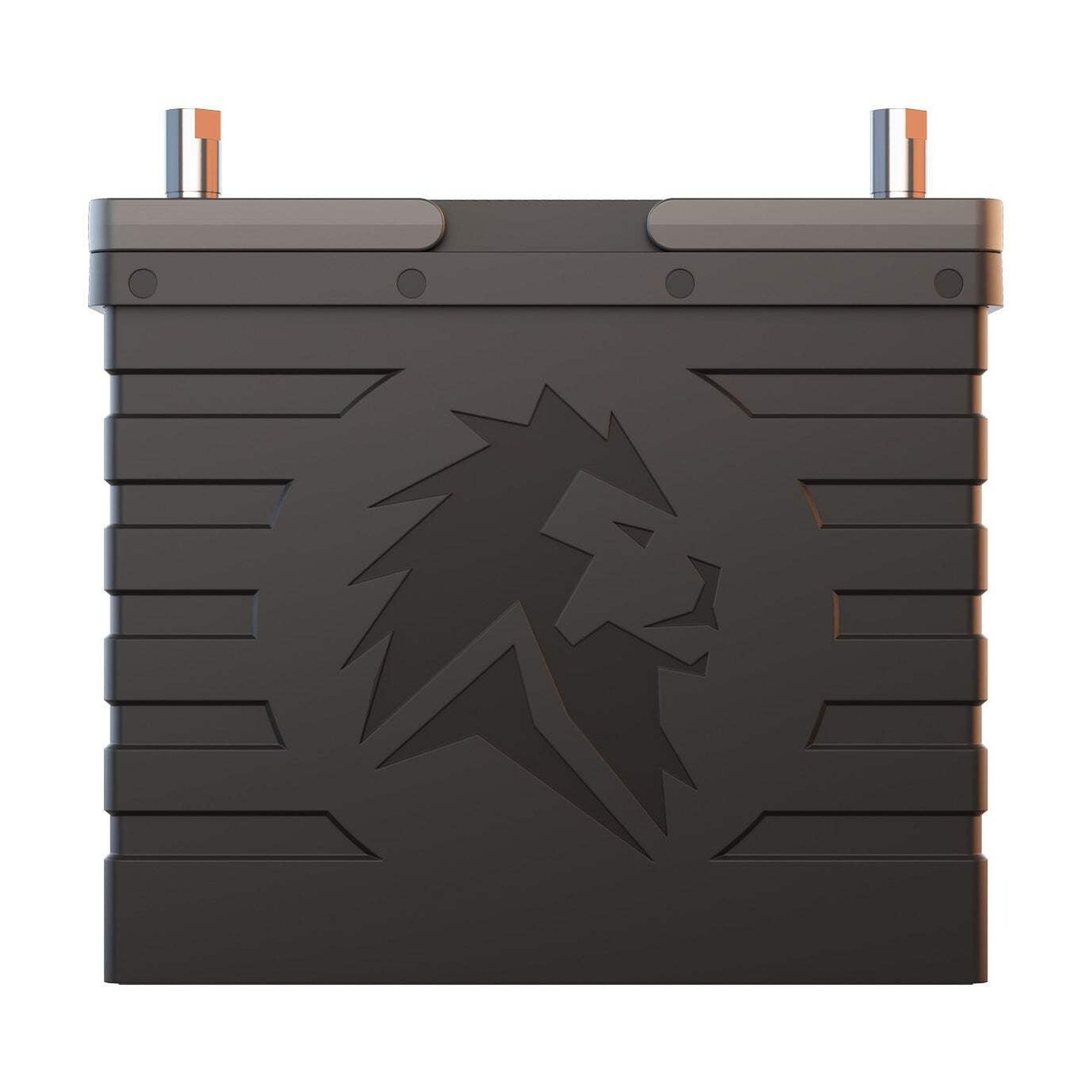 Lion Energy UT 1300 BT 12V Lithium Iron Phosphate Battery, Black, with Handle for Camping and RV