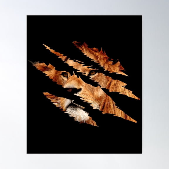 Lion Face Claw Effect Big Cat Lion Slash Claw Lion Lover Gear Poster Wall Art, Modern Wall Decor For Living Room Bedroom, 8x12 UNFRAMED