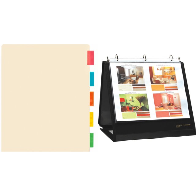 Lion InstaCover Ring Easel Binder and Sparco Insertable Multicolored
