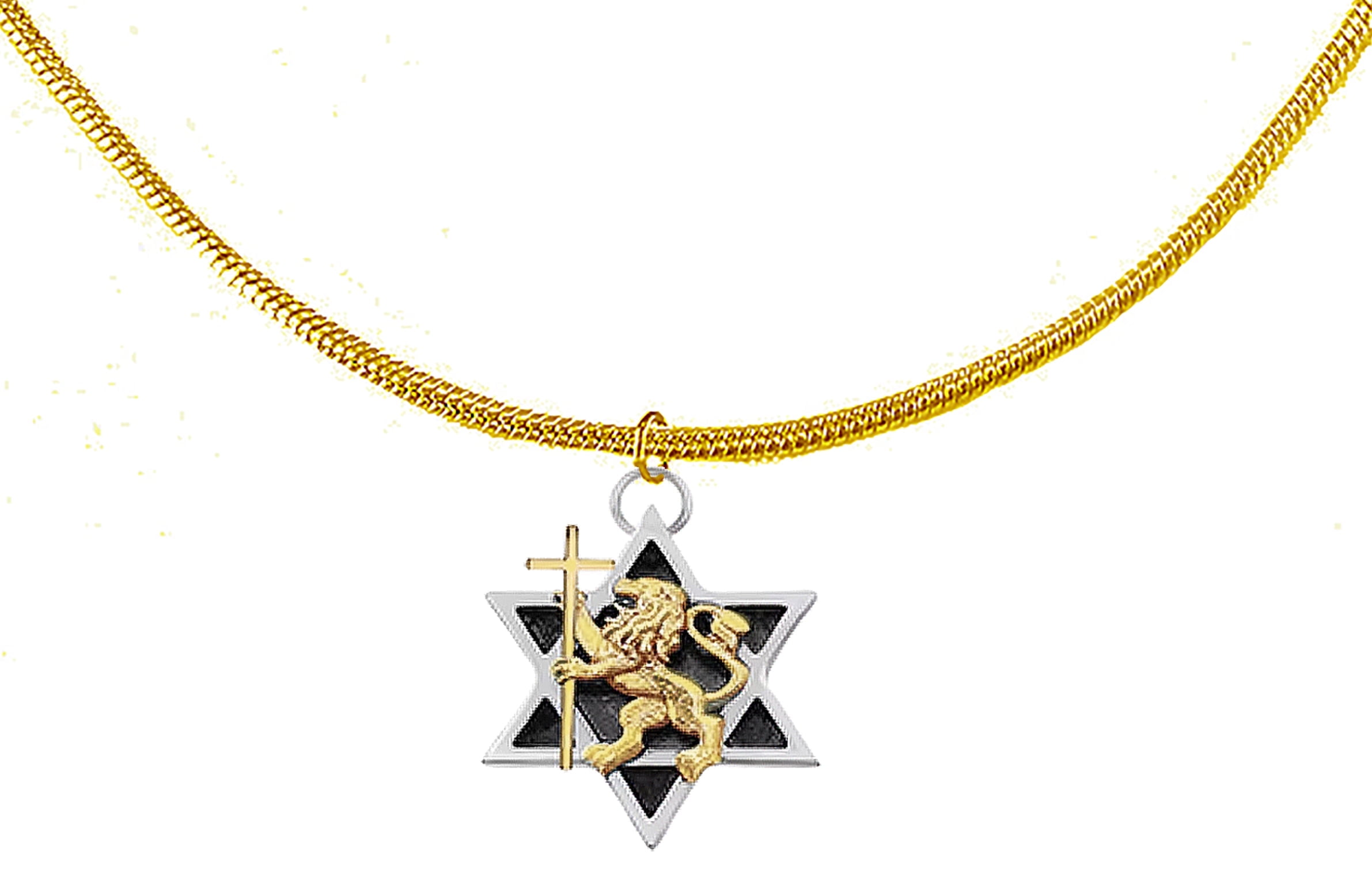 Lion Of Judah, Messianic 14KT Goldtone Lion Of Judah, Star Of