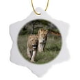 thumbnail image 1 of 3drose, Lion, Kariega Game Reserve, South Africa-af42 Spi0014 - Sergio Pitamitz, 3 inch Snowflake Porcelain Ornament, 1 of 7