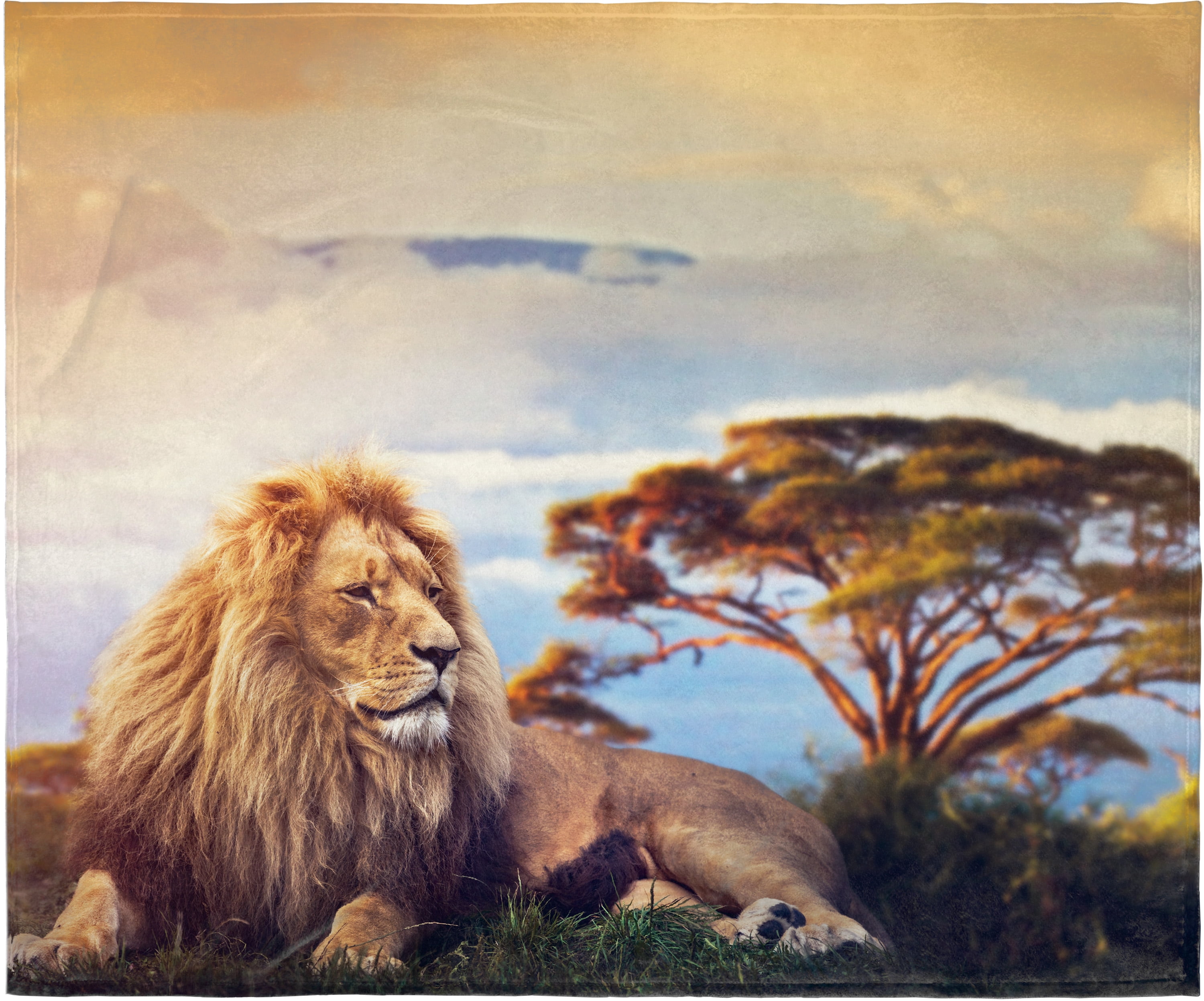 Lion king online fleece blanket