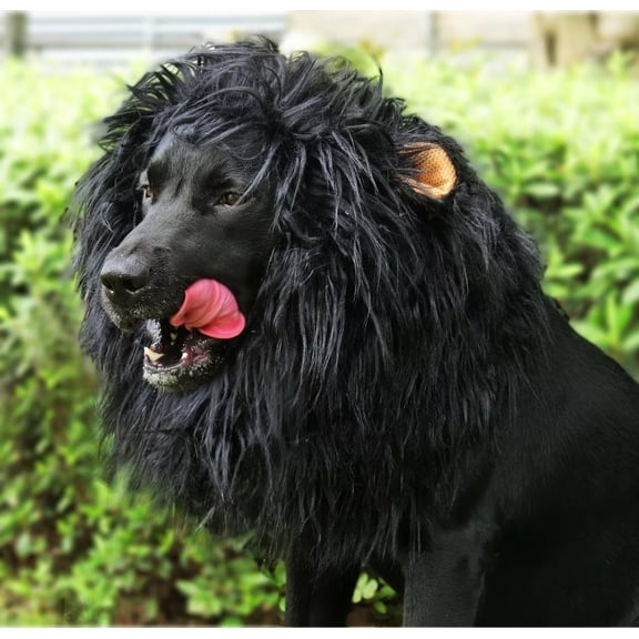Lion Mane Wig for Dogs, Funny Pet Halloween Costumes, Furry Dog Clothing Accessories (Size L, Black)