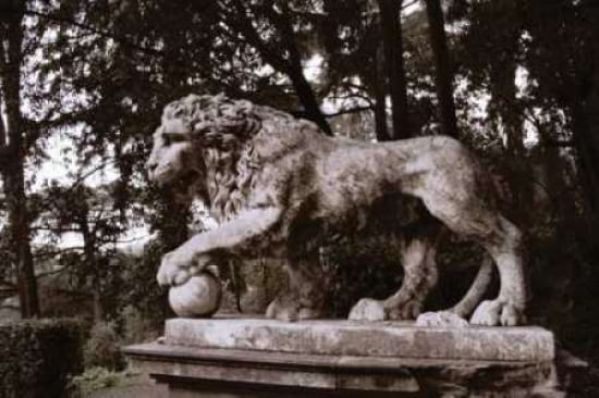 Lion Park I Canvas Art - John Warren (24 x 36)