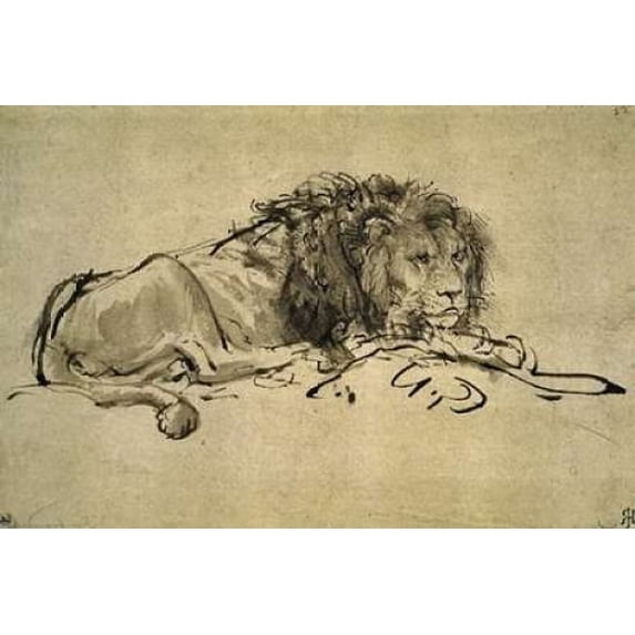 Lion Poster Print by Rembrandt Van Rijn (24 x 36)