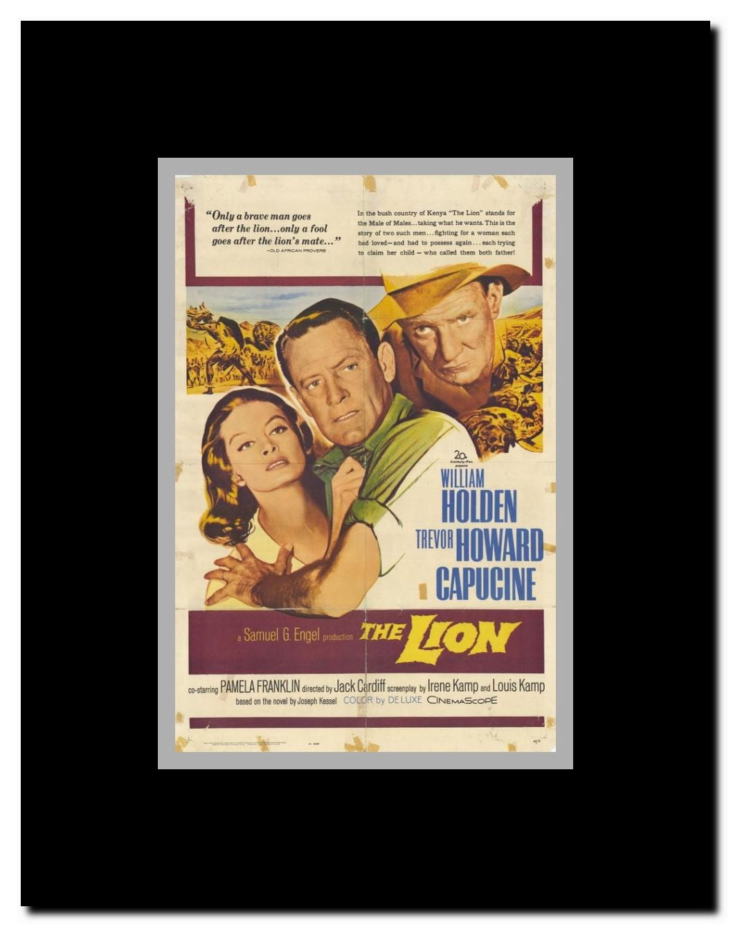 Lion The Framed Movie Poster