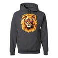 thumbnail image 1 of Lion With Sunglasses Animal Lover Unisex Graphic Hoodie Sweatshirt, Charcoal, Small, 1 of 3