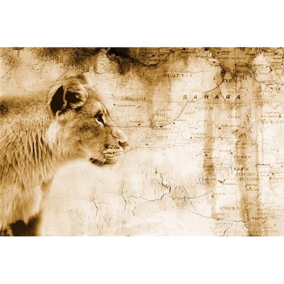 Lion in Front of An Old Map of Africa Poster Print by Chris & Kate Knorr - 36 x 24 - Large