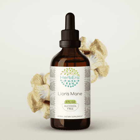 HerbEra Lion's Mane Tincture, Herbal Dietary Supplement for Cognitive Support, Lion's Mane (Hericium erinaceus) Dried Mushroom Extract, Natural, Alcohol-Free, Drops 4 oz