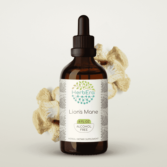 HerbEra Lion's Mane Tincture, Herbal Dietary Supplement for Cognitive Support, Lion's Mane (Hericium erinaceus) Dried Mushroom Extract, Natural, Alcohol-Free, Drops 4 oz