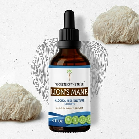 Secrets Of The Tribe Lion's Mane Tincture Dietary Supplement, Natural Herbal Extract for Cognitive Support, Lion's Mane (Hericium erinaceus) Dried Mushroom, Alcohol-Free Extract, Drops 4 oz