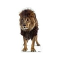 thumbnail image 1 of Lion, 1 of 3