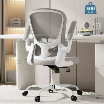 Lioncin Ergonomic Office Chair, Comfort Home Office Task Chair, Lumbar Support Computer Chair with Flip-up Arms and Adjustable Height,Light Gray