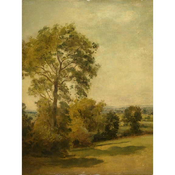 Lionel Constable Tree In Landsdcape 1850 Painting Extra Large XL Wall Art Poster Print