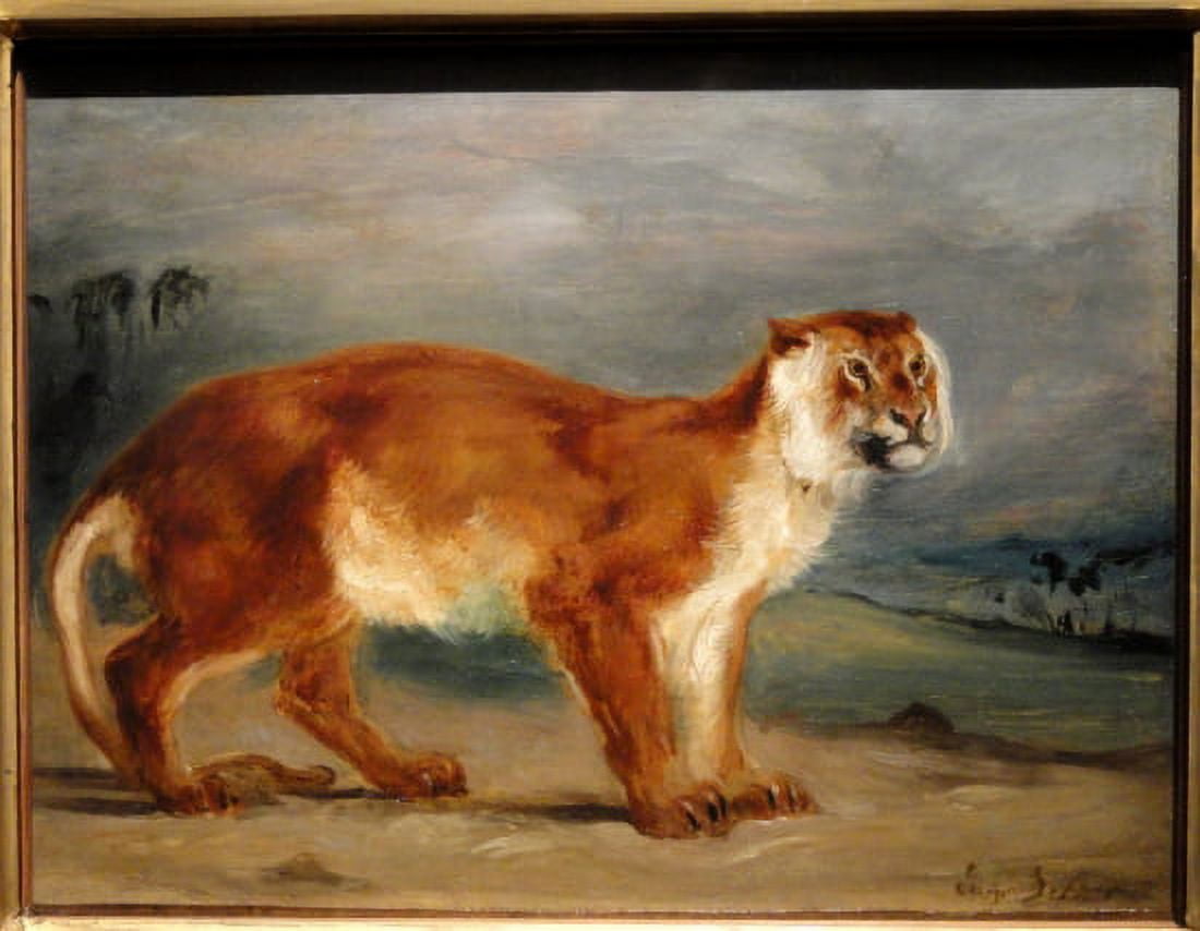 Lioness Canvas Art - Eugene Delacroix (18 x 24)