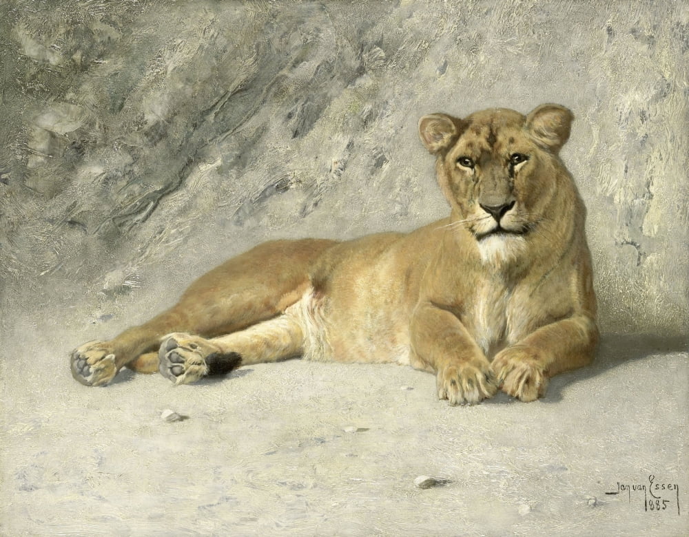 Lioness Resting Canvas Art - (36 x 24)
