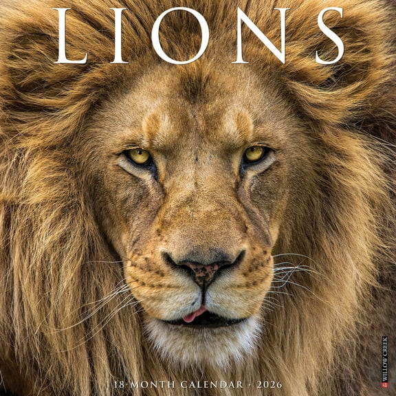 Lions 2026 Wall Calendar, (Paperback)
