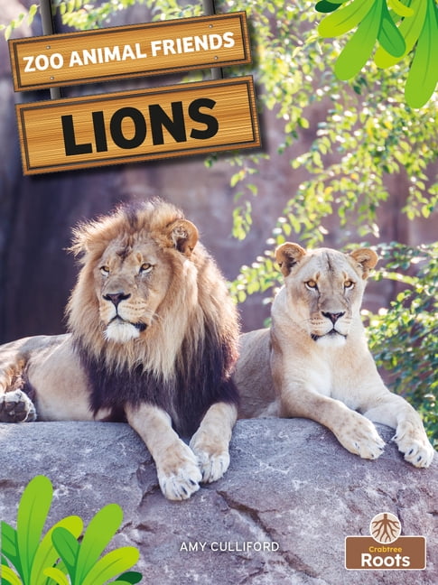 Lions, (Paperback)