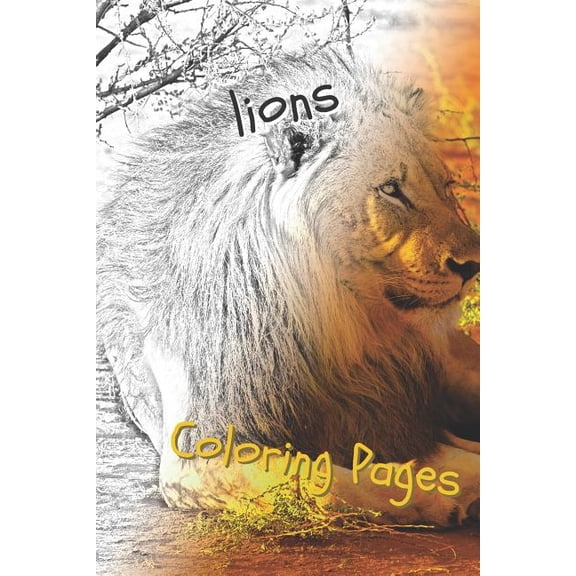 Lions Coloring Pages: Lions Beautiful Drawings for Adults Relaxation (Paperback)