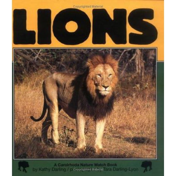 Pre-Owned Lions (Hardcover) 1575054043 9781575054049