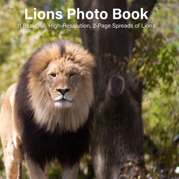 Lions Photo Book : 14 Beautiful, High-Resolution, 2-Page Spreads of Lions (Paperback)