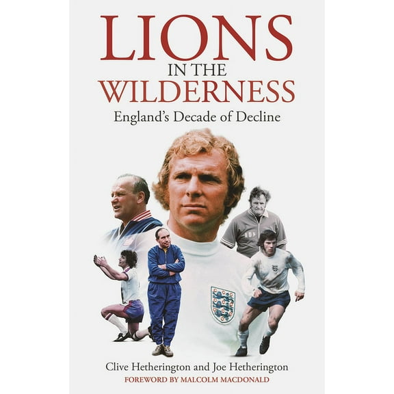 Lions in the Wilderness : England's Decade Of Decline (Hardcover)