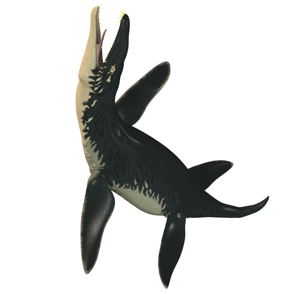 Liopleurodon a large carnivorous marine reptile Canvas Art - Corey FordStocktrek Images (29 x 29)