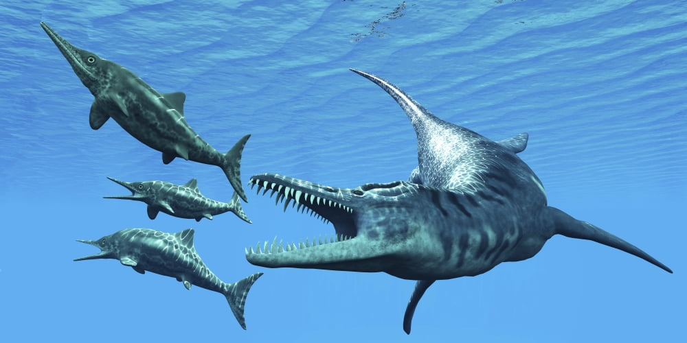 Liopleurodon reptile hunting Ichthyosaurus dinosaurs in Jurassic seas Canvas Art - Corey FordStocktrek Images (20 x 10)