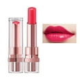 Lip Plumper Lip Gloss Lip Stains Aloe Lipstick Lip Stay on Lipstick