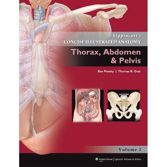Pre-Owned Lippincott Concise Illustrated Anatomy, Volume 1: Thorax, Abdomen & Pelvis (Paperback) 1609130286 9781609130282