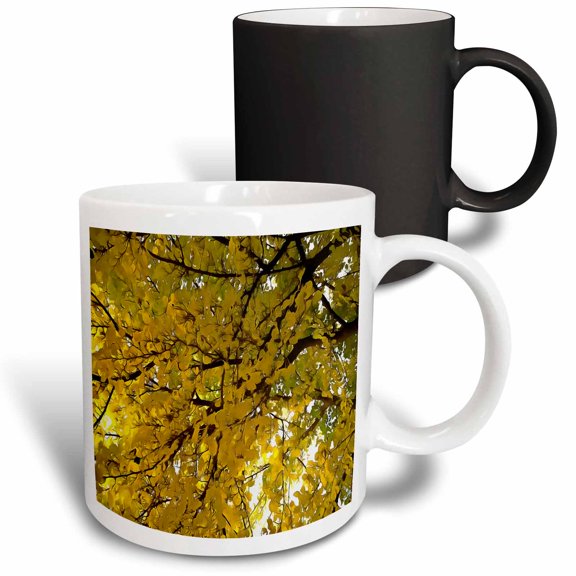 3drose, Liquid Amber Autumn Vibes Fall Abstract, 11oz Magic Transforming Mug