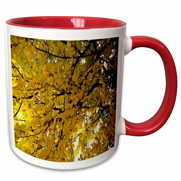 3drose, Liquid Amber Autumn Vibes Fall Abstract, 11oz Two-tone Red Mug