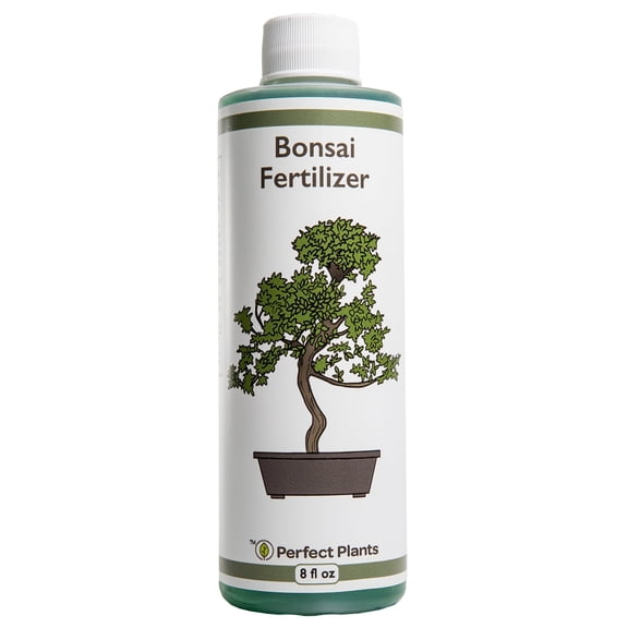 Liquid Bonsai Fertilizer 8oz. of Premium Concentrated Indoor and Outdoor Bonsai Fertilizer, Use with All Bonsai Varieties