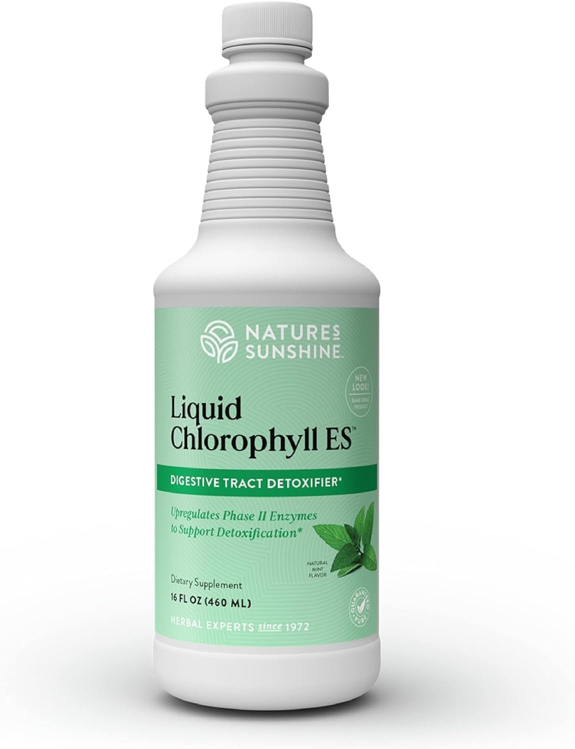 Liquid Chlorophyll Extra Strength - Immunity Support, Detox & Cleanse, Chlorophyll Liquid Drops with Spearmint Oil, Natural Energy Boost, Internal Deodorant - 16 Fl Oz