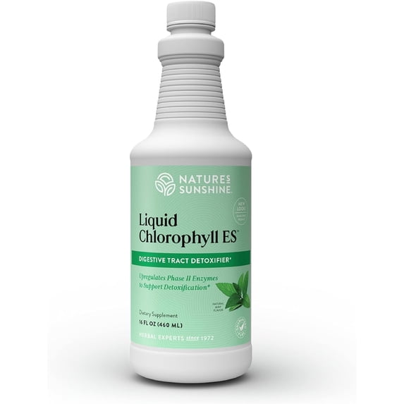 Liquid Chlorophyll Extra Strength - Immunity Support, Detox & Cleanse, Chlorophyll Liquid Drops with Spearmint Oil, Natural Energy Boost, Internal Deodorant - 16 Fl Oz