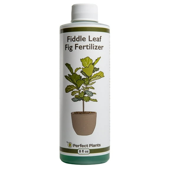 Liquid Fiddle Leaf Fig Fertilizer 8oz. of Premium Concentrated Indoor Ficus Food, Get Big Leaves and Healthy Plants