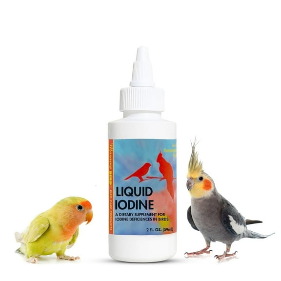 Morning Bird Liquid Iodine for Birds 2 fl. oz – Iodine Drops for Feather Growth, Support Molting, Energy & Thyroid – Easy-to-Use Mineral Supplement Formula for All Bird Types