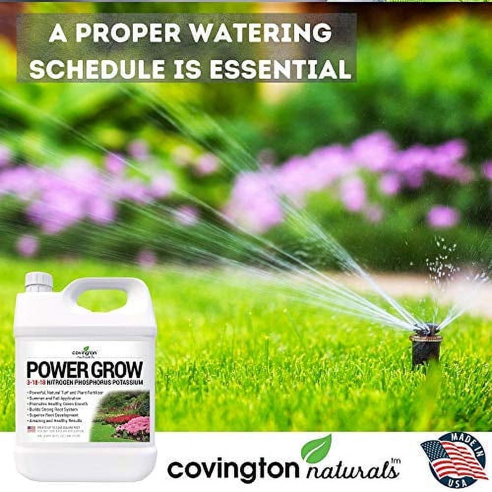 Liquid Lawn Fertilizer, 31818 NPK Grass Fertilizer, Premium Lawn and