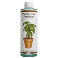 thumbnail image 1 of Liquid Money Tree Fertilizer 8oz. of Premium Concentrated Indoor and Outdoor Pachira Aquatica Fertilizer, Use with Containerized Houseplant Money Trees, 1 of 5