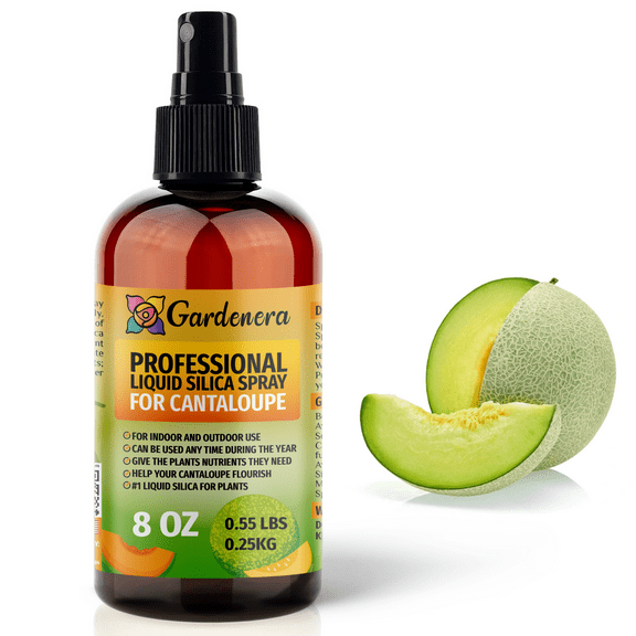 ⭐ 𝐁𝐄𝐒𝐓𝐒𝐄𝐋𝐋𝐄𝐑 Liquid Silica Boost Fertilizer and Supplement Spray for CANTALOUPE Plants – Pre-Mixed, Ready-To-Use Liquid Silicon Plant Superfood Mist for Indoor & Outdoor Plants – 8oz