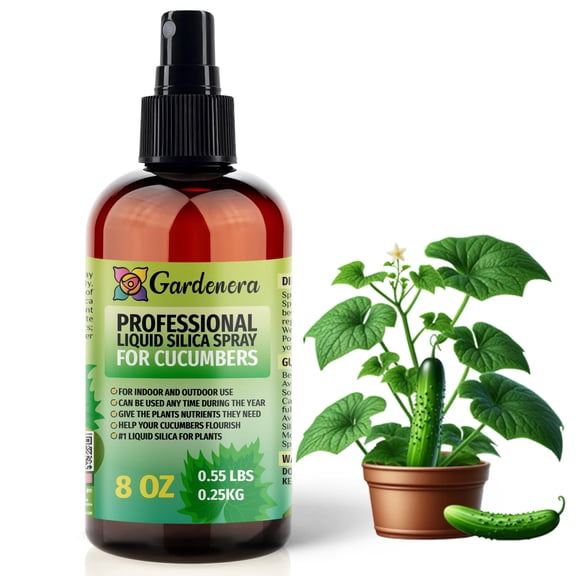 ⭐ 𝐒𝐔𝐏𝐄𝐑𝐈𝐎𝐑 Liquid Silica Boost Fertilizer and Supplement Spray for CUCUMBERS Plants – Pre-Mixed, Ready-To-Use Liquid Silicon Plant Superfood Mist for Indoor & Outdoor Plants – 8oz