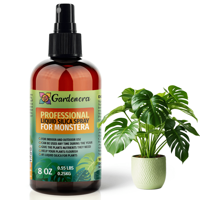 Liquid Silica Plant Supplement - 32oz - DUMB CANE  Plants Liquid Silica Boost Fertilizer - Stronger Stems & Healthy Leaves for  Indoor & ...