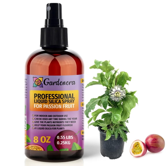 ⭐ 𝐒𝐔𝐏𝐄𝐑𝐈𝐎𝐑 Liquid Silica Boost Fertilizer and Supplement Spray for PASSION FRUIT Plants – Pre-Mixed, Ready-To-Use Liquid Silicon Plant Superfood Mist for Indoor & Outdoor Plants – 8oz
