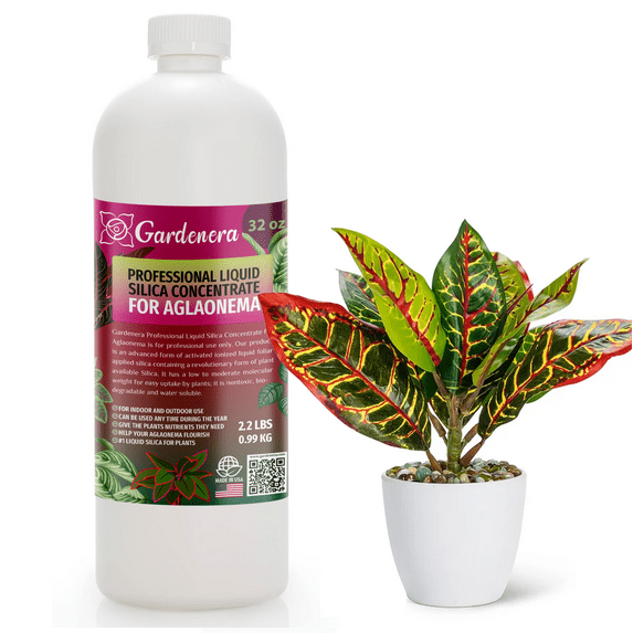 ππππ
ππππππππ Liquid Silica Plant Supplement - 32oz - AGLAONEMA Plants Liquid Silica Boost Fertilizer - Stronger Stems & Healthy Leaves for Indoor & Outdoor Aglaonemas (Makes 180 Gallons)