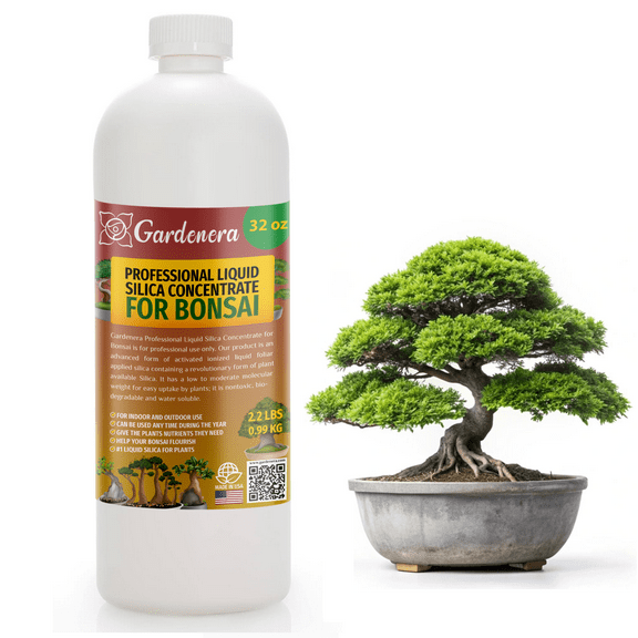 𝐏𝐑𝐎𝐅𝐄𝐒𝐒𝐈𝐎𝐍𝐀𝐋 Liquid Silica Plant Supplement - 32oz - BONSAI Plants Liquid Silica Boost Fertilizer - Stronger Stems & Healthy Leaves for Indoor & Outdoor Bonsai Plants (Makes 180 Gallons)
