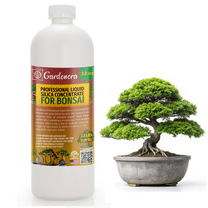 ππππ
ππππππππ Liquid Silica Plant Supplement - 32oz - BONSAI Plants Liquid Silica Boost Fertilizer - Stronger Stems & Healthy Leaves for Indoor & Outdoor Bonsai Plants (Makes 180 Gallons)