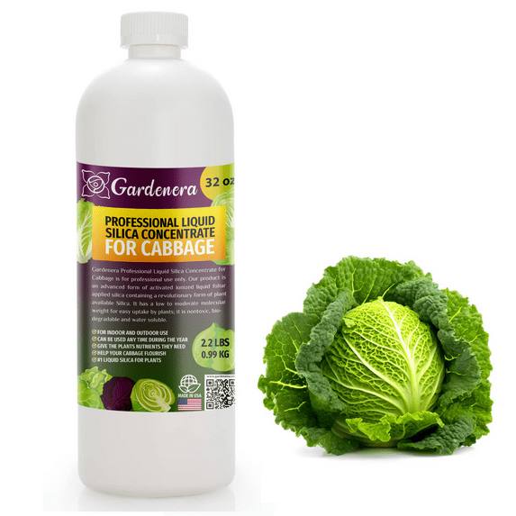 ππππ
ππππππππ Liquid Silica Plant Supplement - 32oz - CABBAGE Plants Liquid Silica Boost Fertilizer - Stronger Stems & Healthy Leaves for Indoor & Outdoor Cabbage Plants (Makes 180 Gallons)