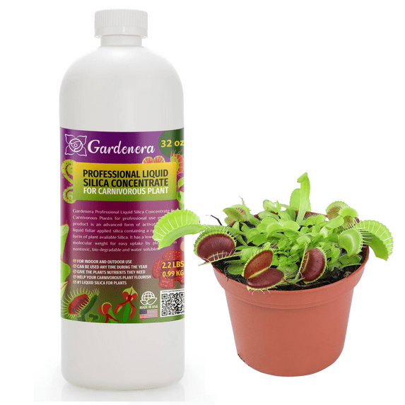 β ππππππππππ Liquid Silica Plant Supplement - 32oz - CARNIVOROUS Plants Liquid Silica Boost Fertilizer - Stronger Stems & Healthy Leaves for Indoor & Outdoor Plants (Makes 180 Gallons)