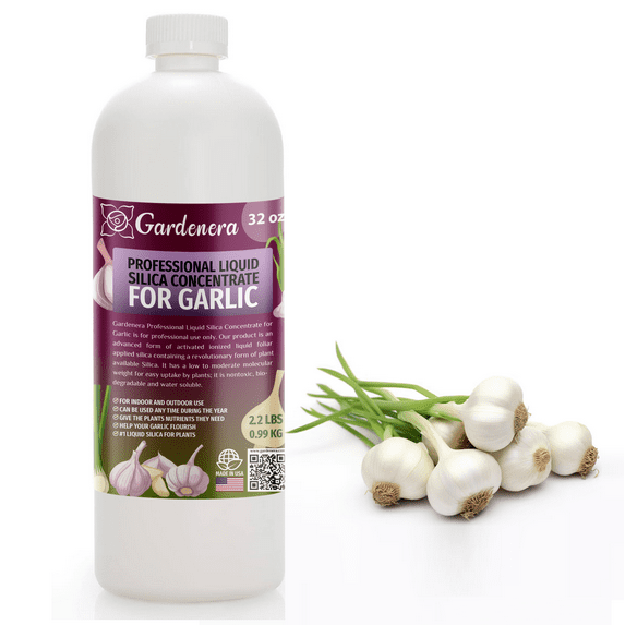 ππππ
ππππππππ Liquid Silica Plant Supplement - 32oz - GARLIC Plants Liquid Silica Boost Fertilizer - Stronger Stems & Healthy Leaves for Indoor & Outdoor Garlic Plants (Makes 180 Gallons)